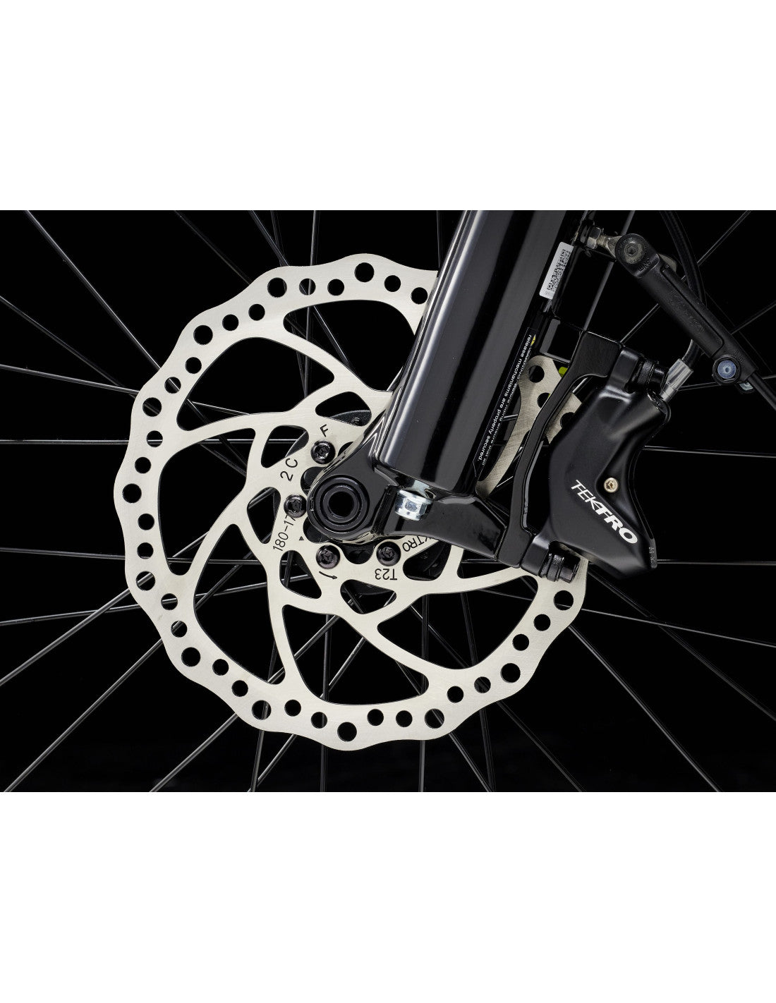 Trek Fetch+ 4 Bike