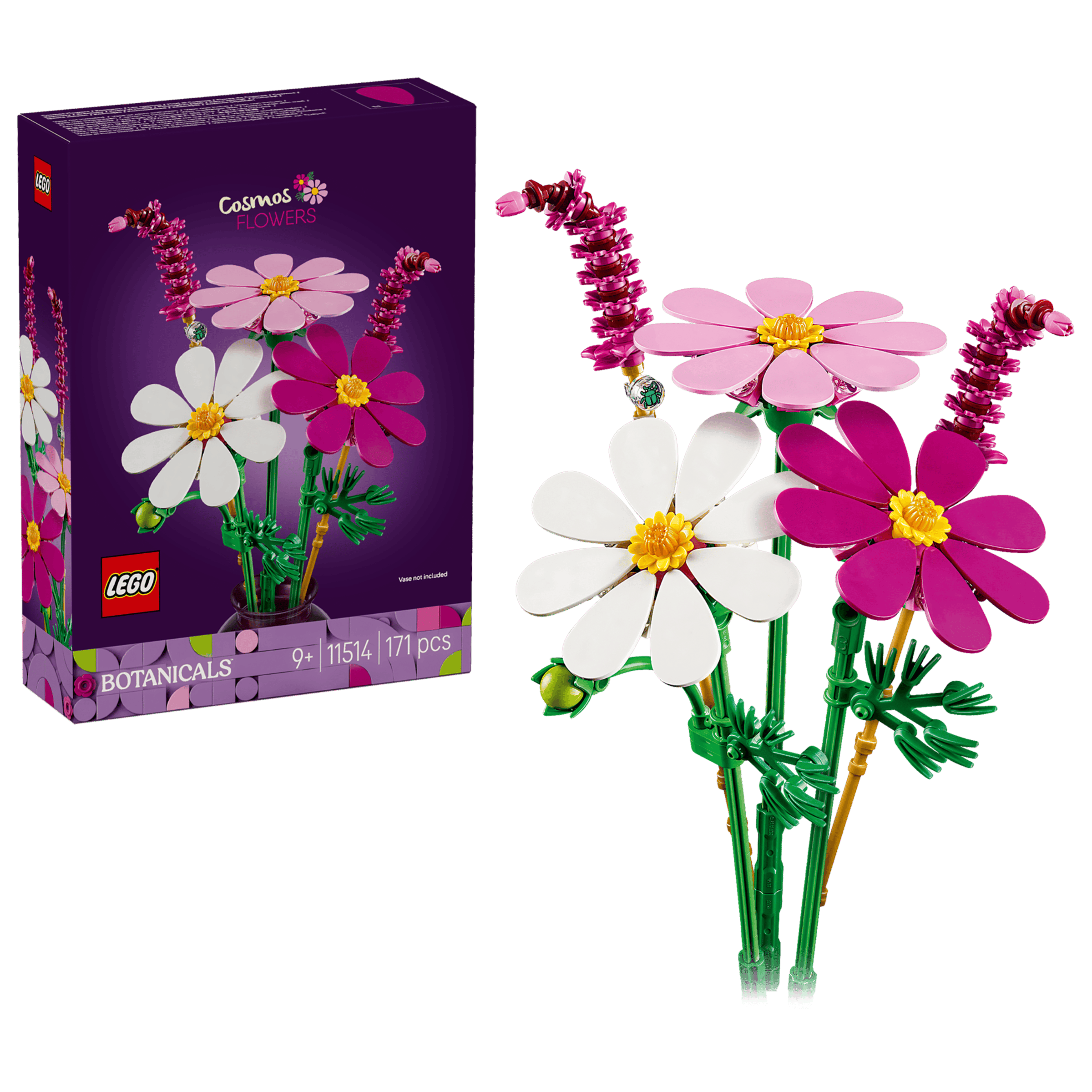 LEGO Botanicals Cosmos Flowers box and model