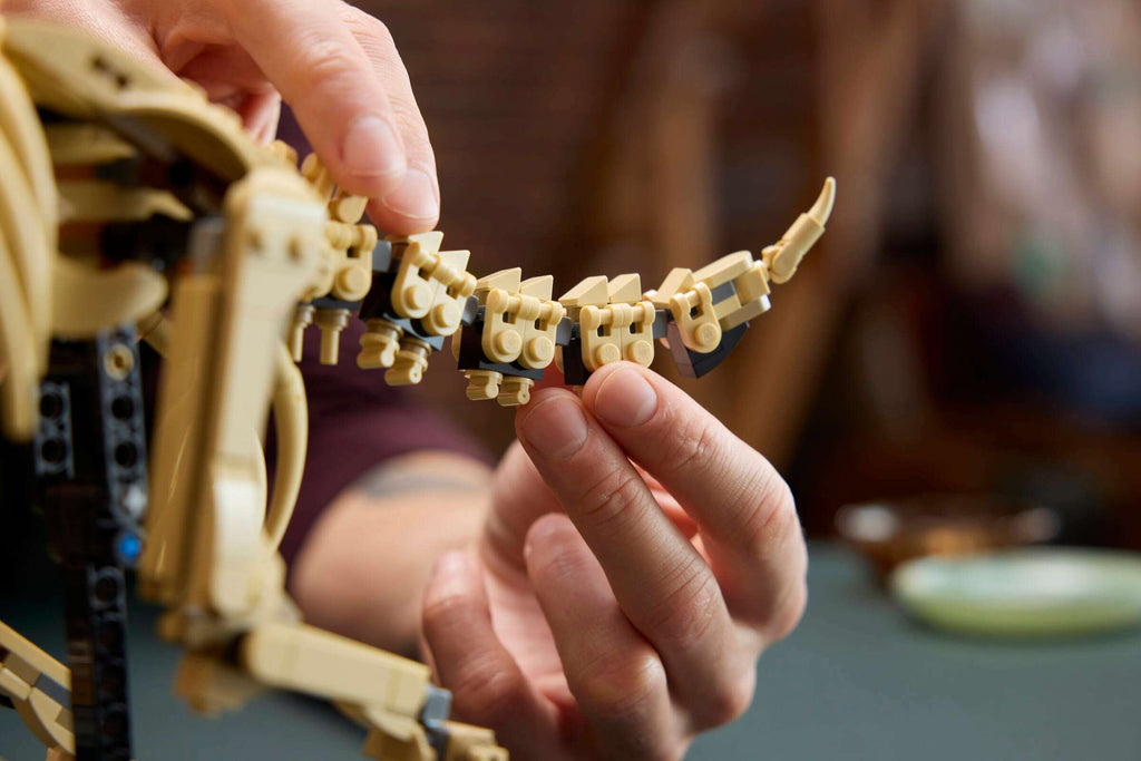 LEGO Jurassic World Dinosaur Fossils: Triceratops 77985 being built