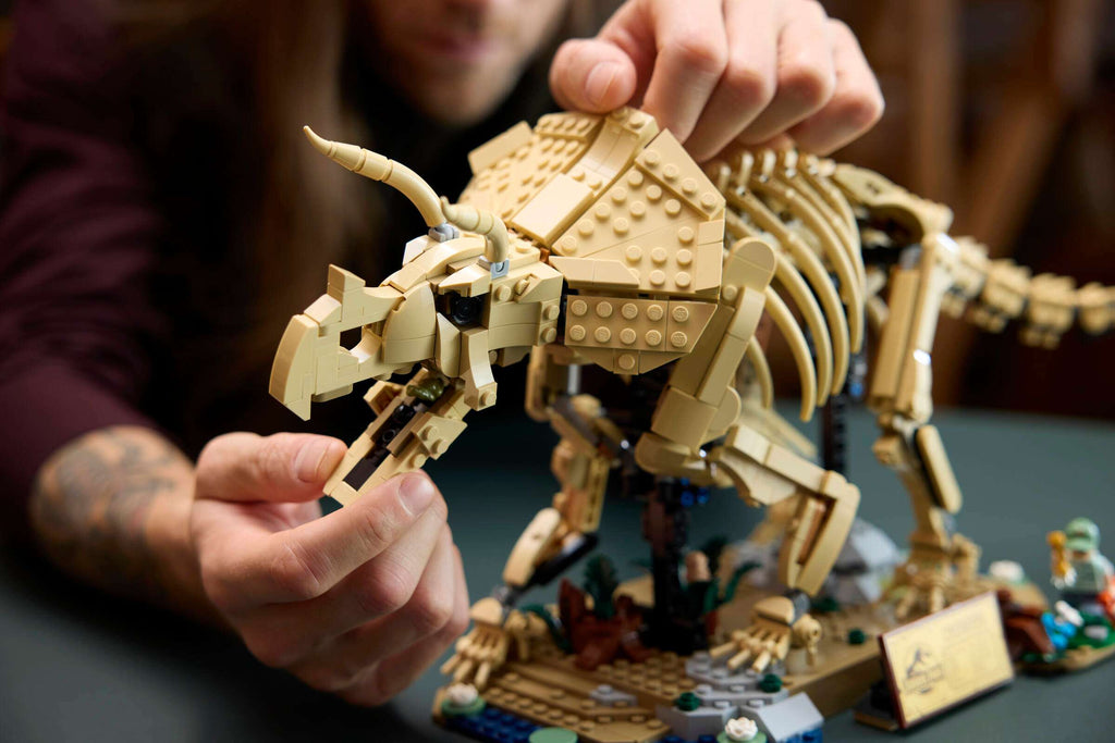 LEGO Jurassic World Dinosaur Fossils: Triceratops 77985 being built