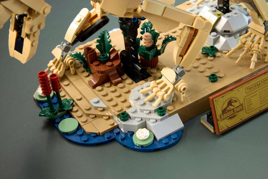 LEGO Jurassic World Dinosaur Fossils: Triceratops 77985 being built