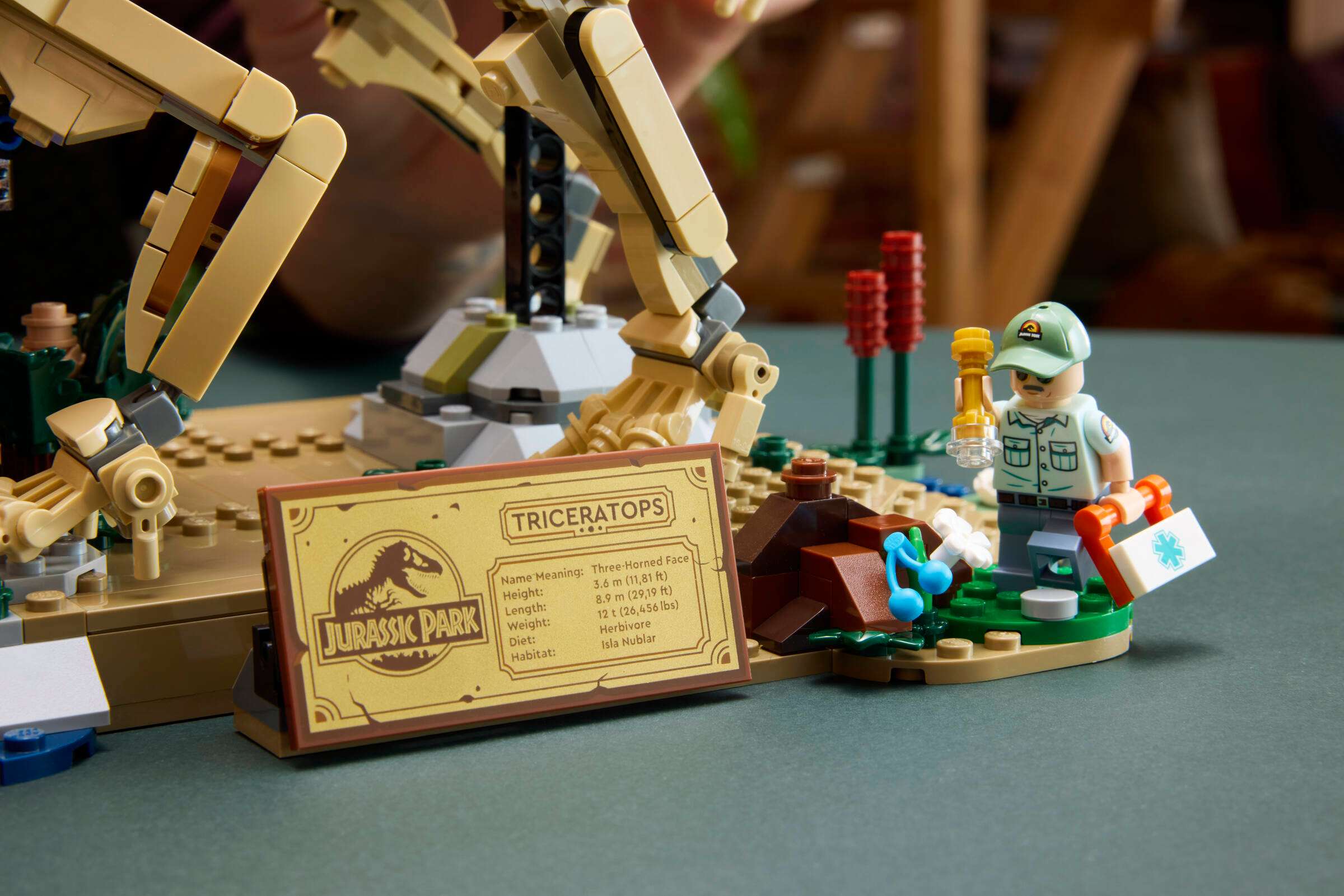 LEGO Jurassic World Dinosaur Fossils: Triceratops 77985 being built
