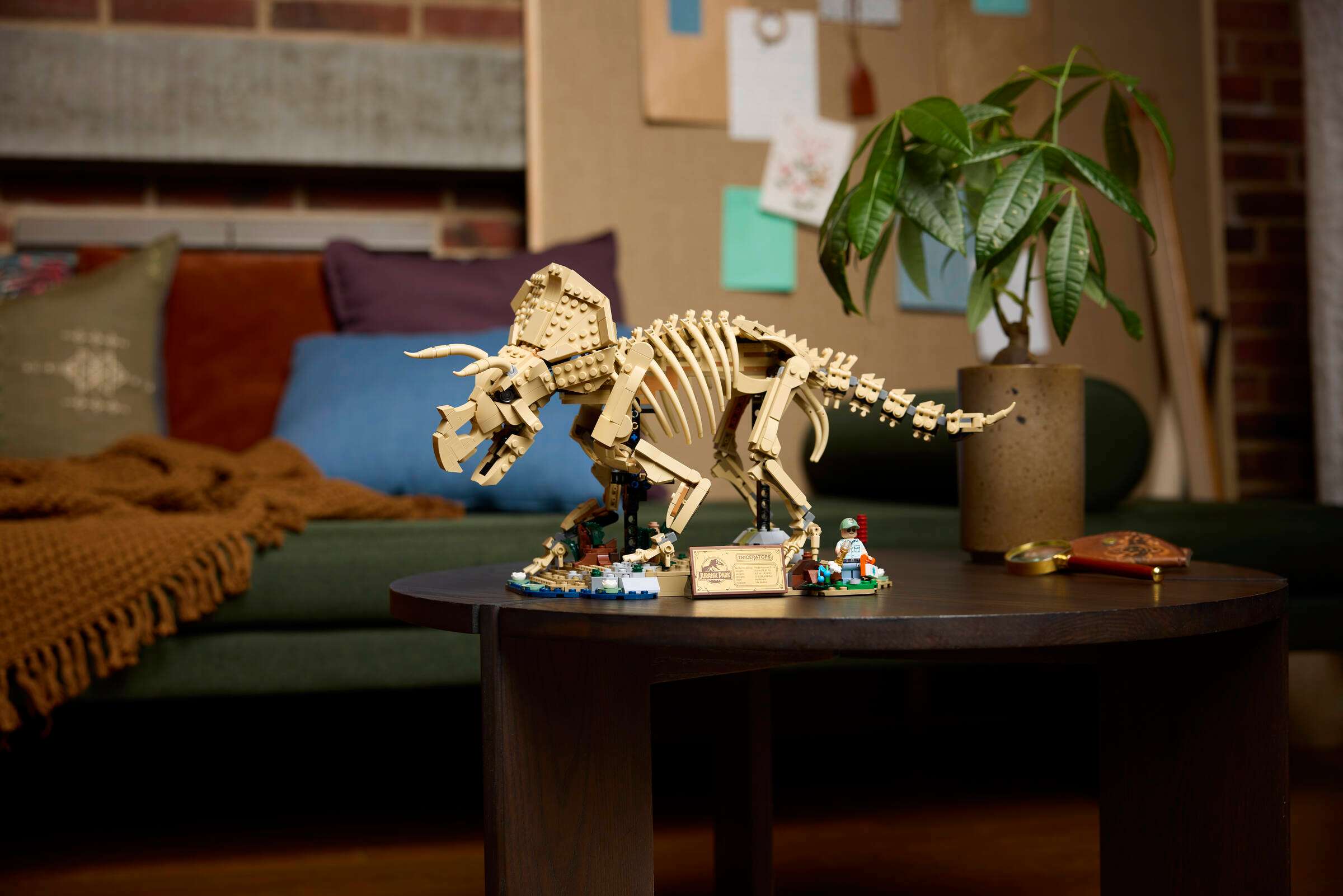 LEGO Jurassic World Dinosaur Fossils: Triceratops 77985 on display