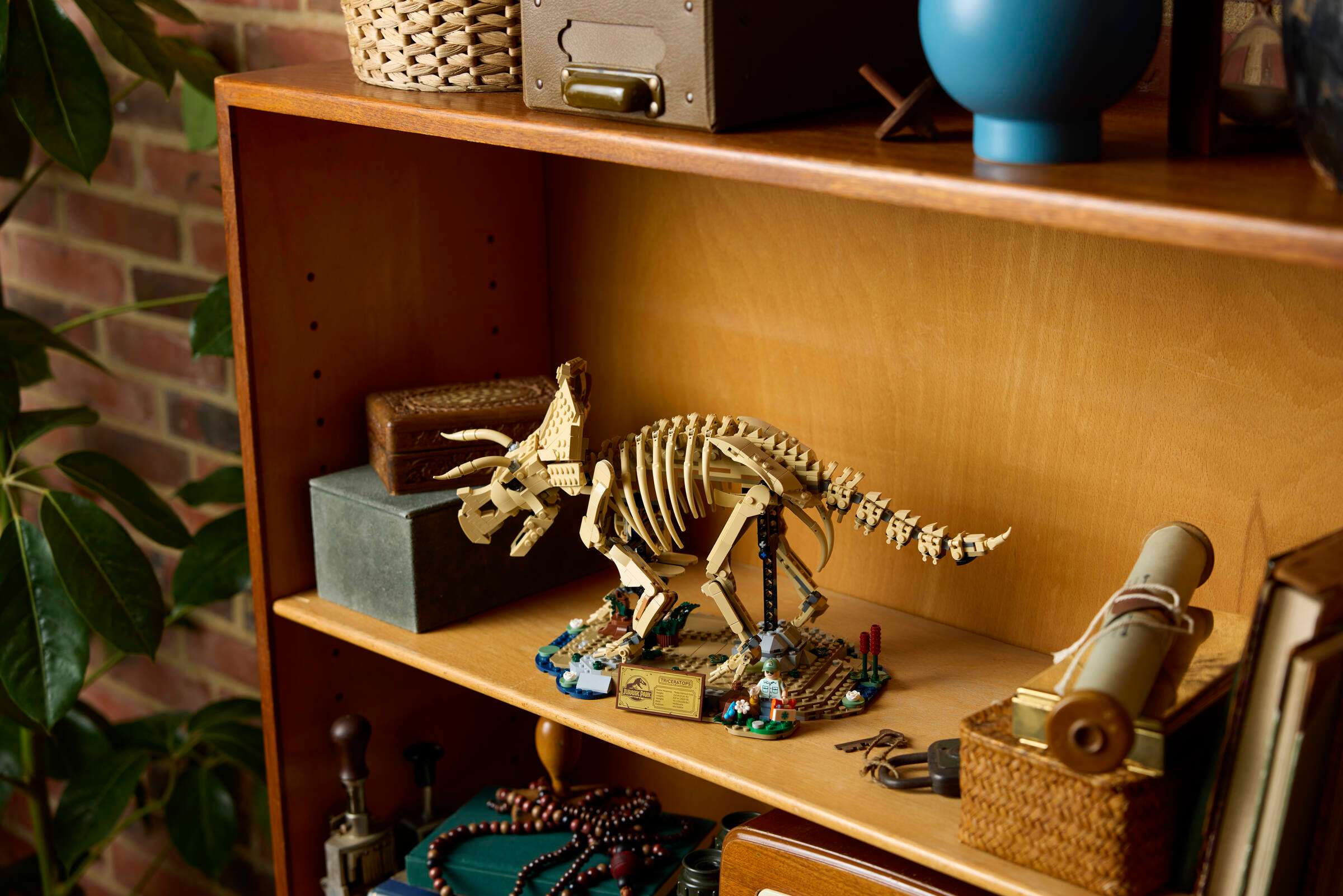 LEGO Jurassic World Dinosaur Fossils: Triceratops 77985 on display