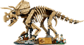 LEGO Jurassic World Dinosaur Fossils: Triceratops 77985 built model