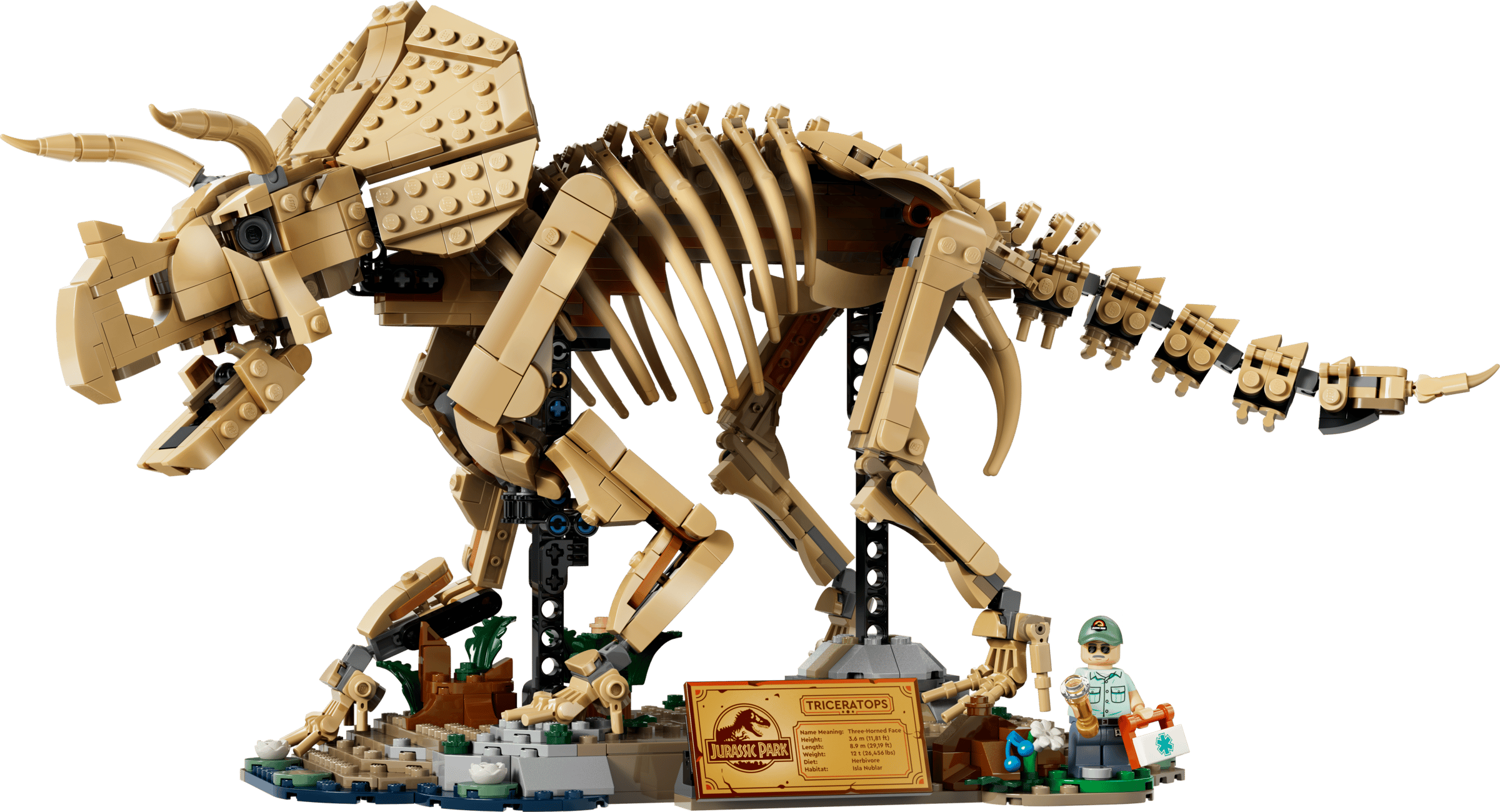 LEGO Jurassic World Dinosaur Fossils: Triceratops 77985 built model
