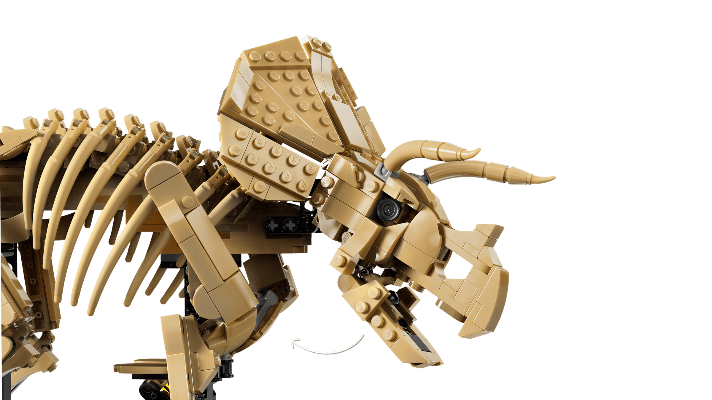 LEGO Jurassic World Dinosaur Fossils: Triceratops 77985 detail view