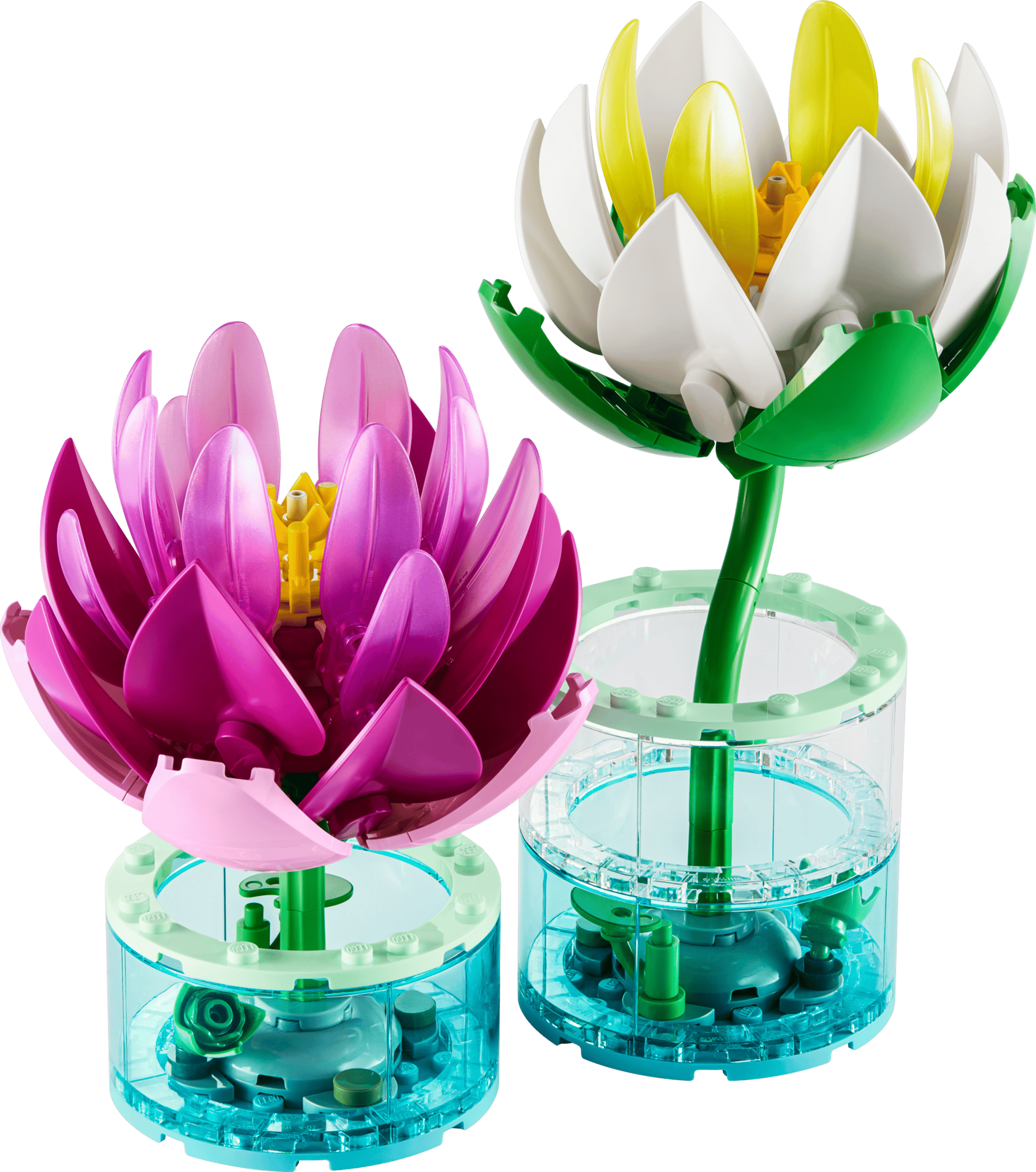 LEGO Botanicals Water Lilies built model