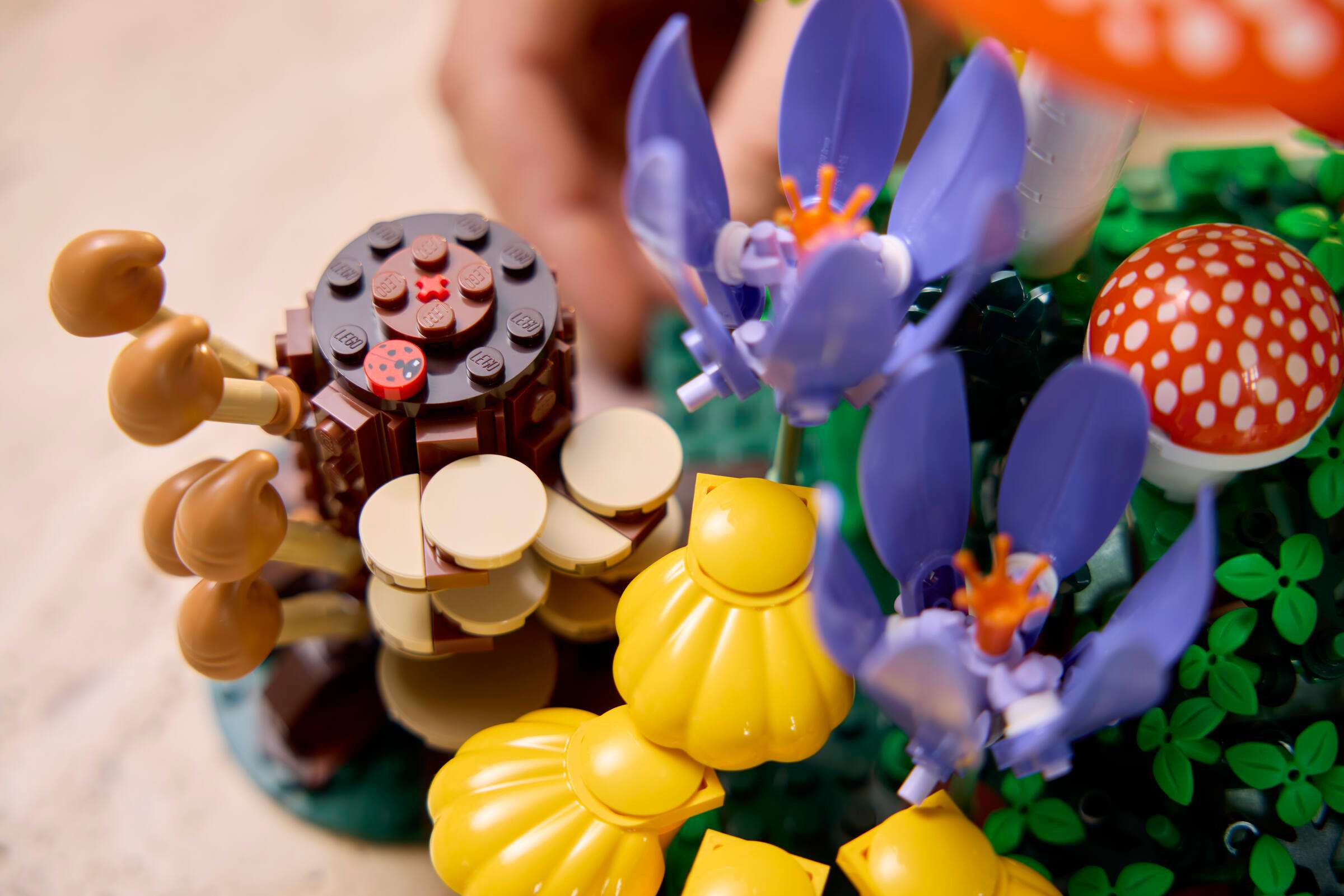 LEGO Botanicals Woodland Mushrooms being built