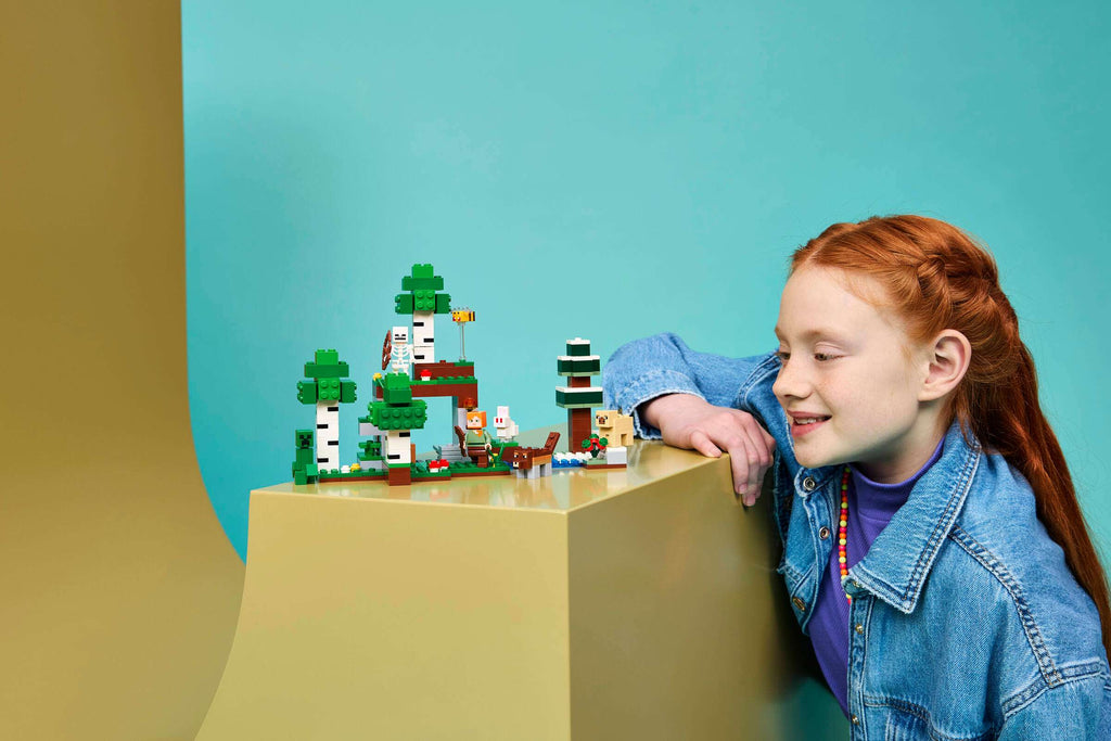 LEGO Minecraft First Night Adventure 21593