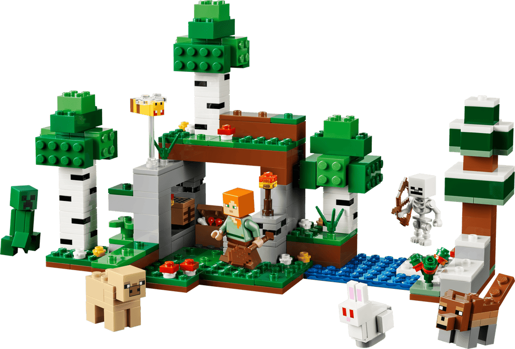 LEGO Minecraft First Night Adventure 21593