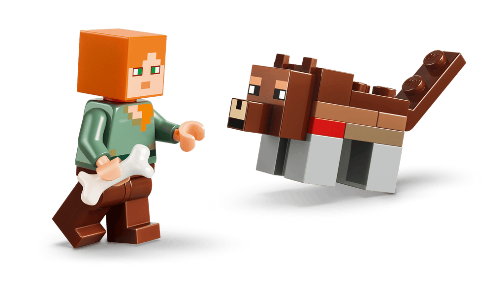 LEGO Minecraft First Night Adventure 21593